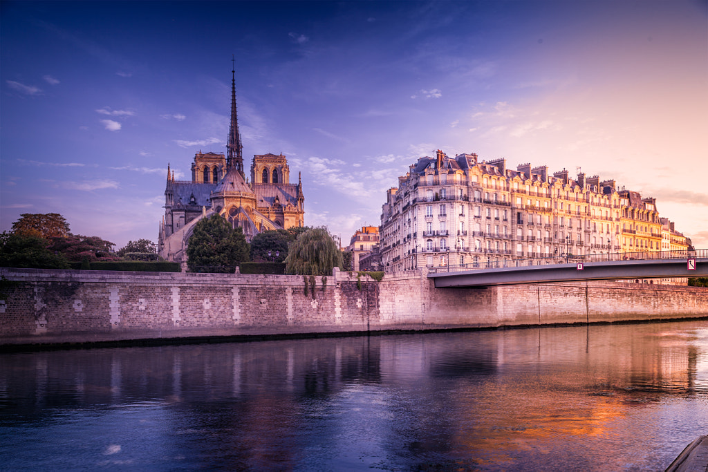 Wake Up Notre-Dame !! by bill baroud on 500px.com