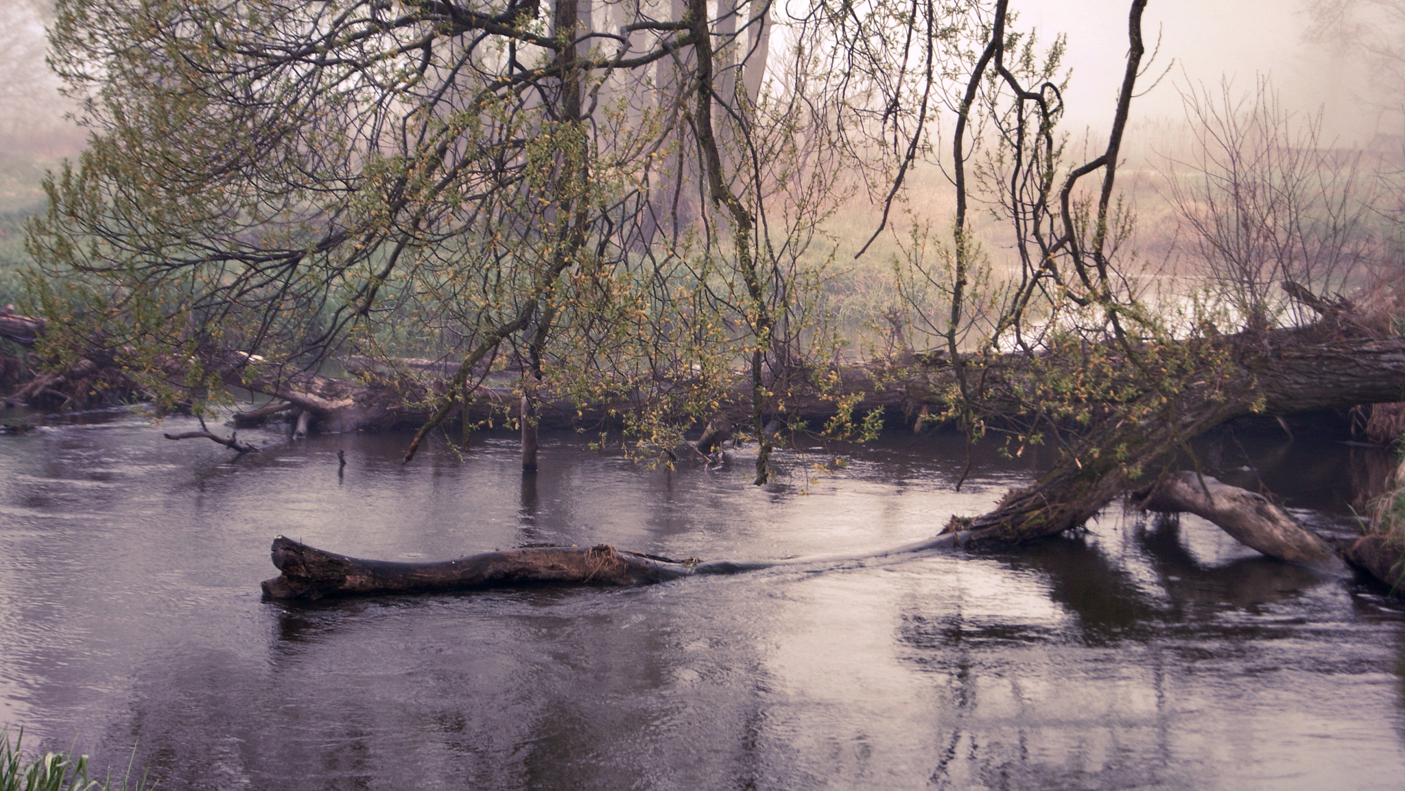 River in the rain