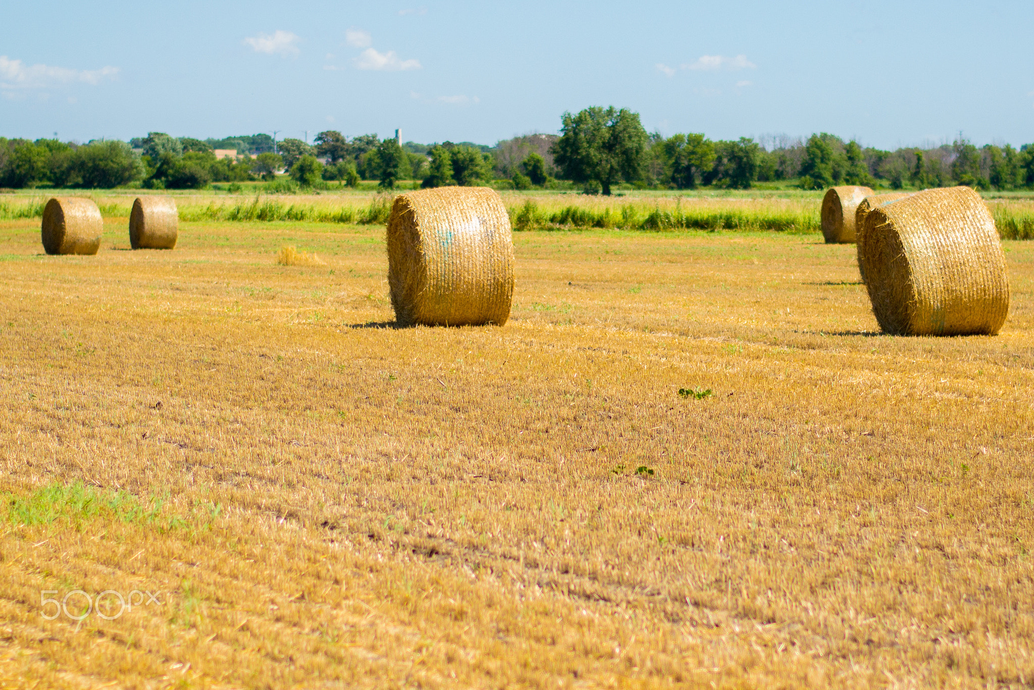 Summer Hay Bales 2