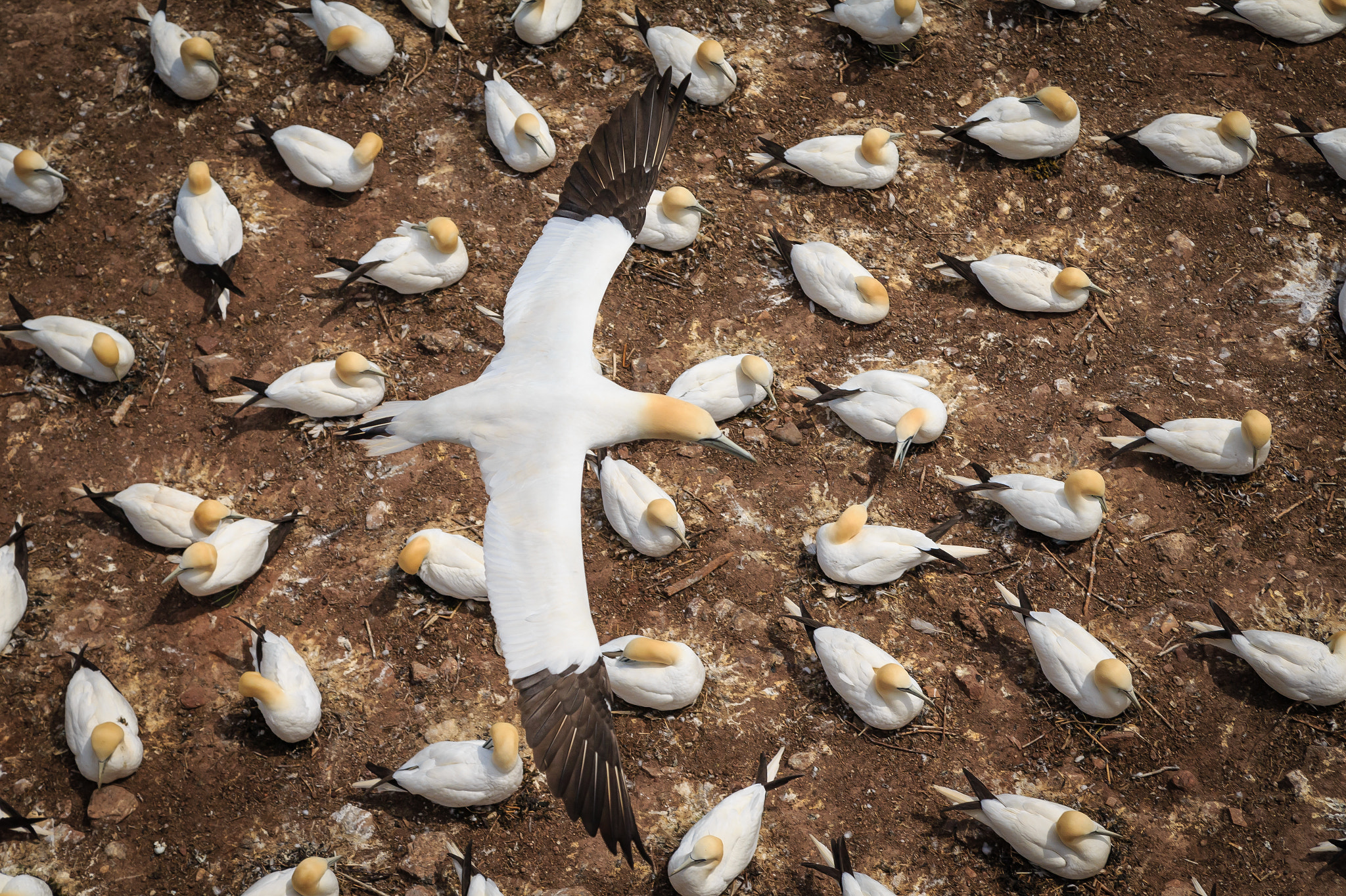 v2?sig=8137cef7a53e034266fd5fc51ee2e0c4a99372d302510f920d54cd9d438f6045