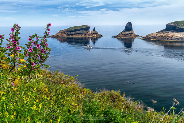 columbretes islands, Castellon. Spain by Benjamin Albiach on 500px.com