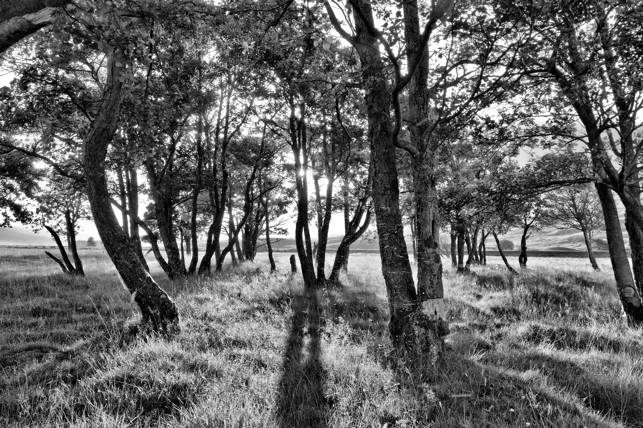 v2?sig=65e964cd074643f56afd120dd704ad50835c616757d46ad69b3dcf130e2fc195