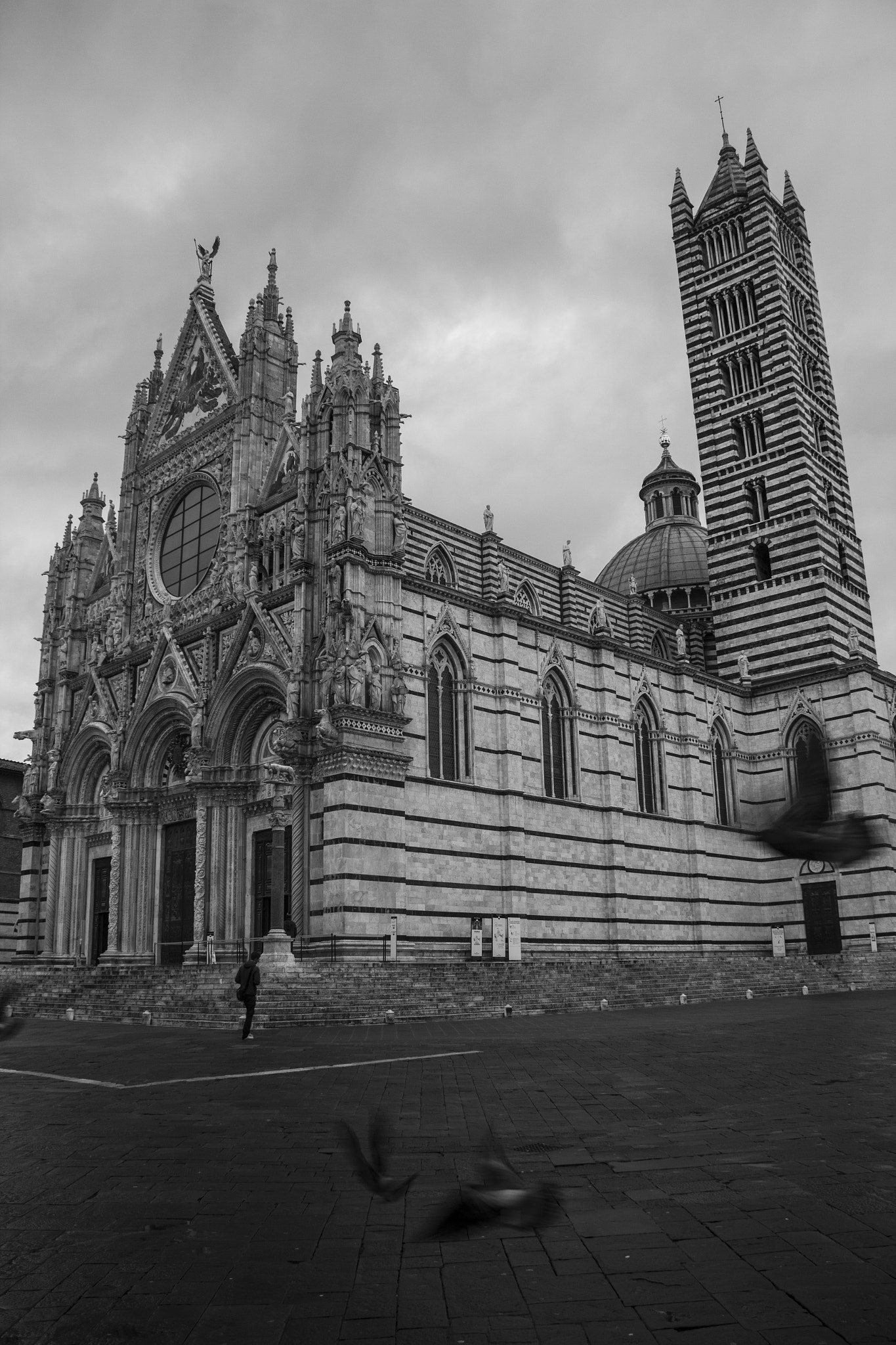 siena cathedral b&w