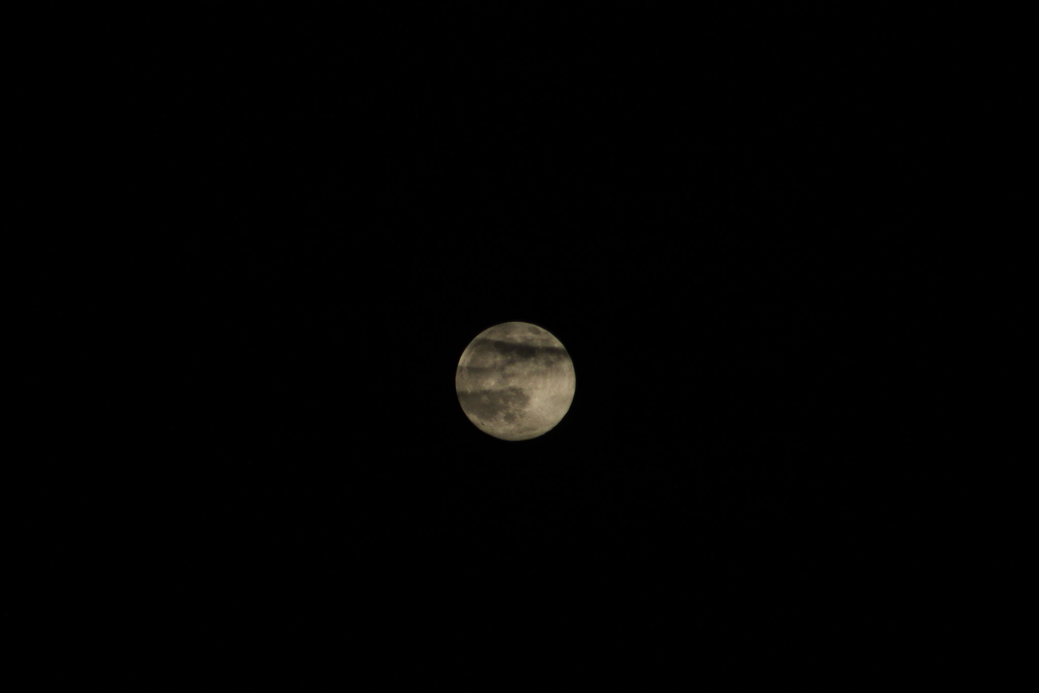 IMG_5248.JPG