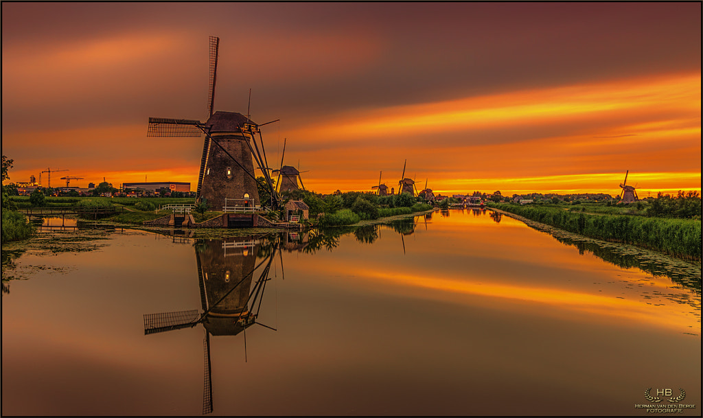 Golden Delicious by Herman van den Berge / 500px