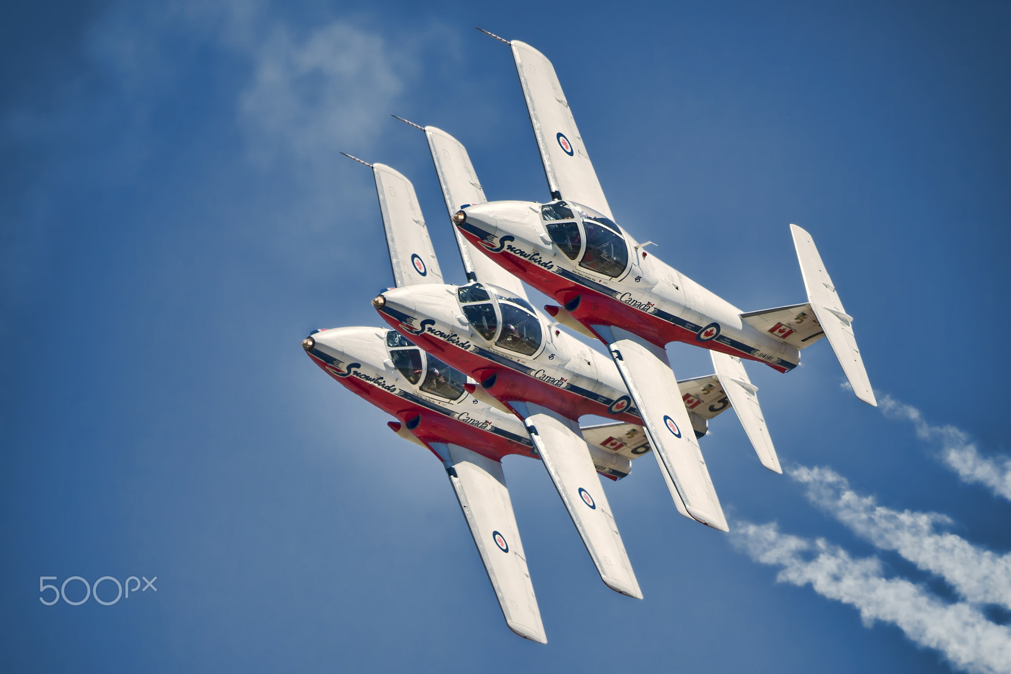 Snowbirds trio