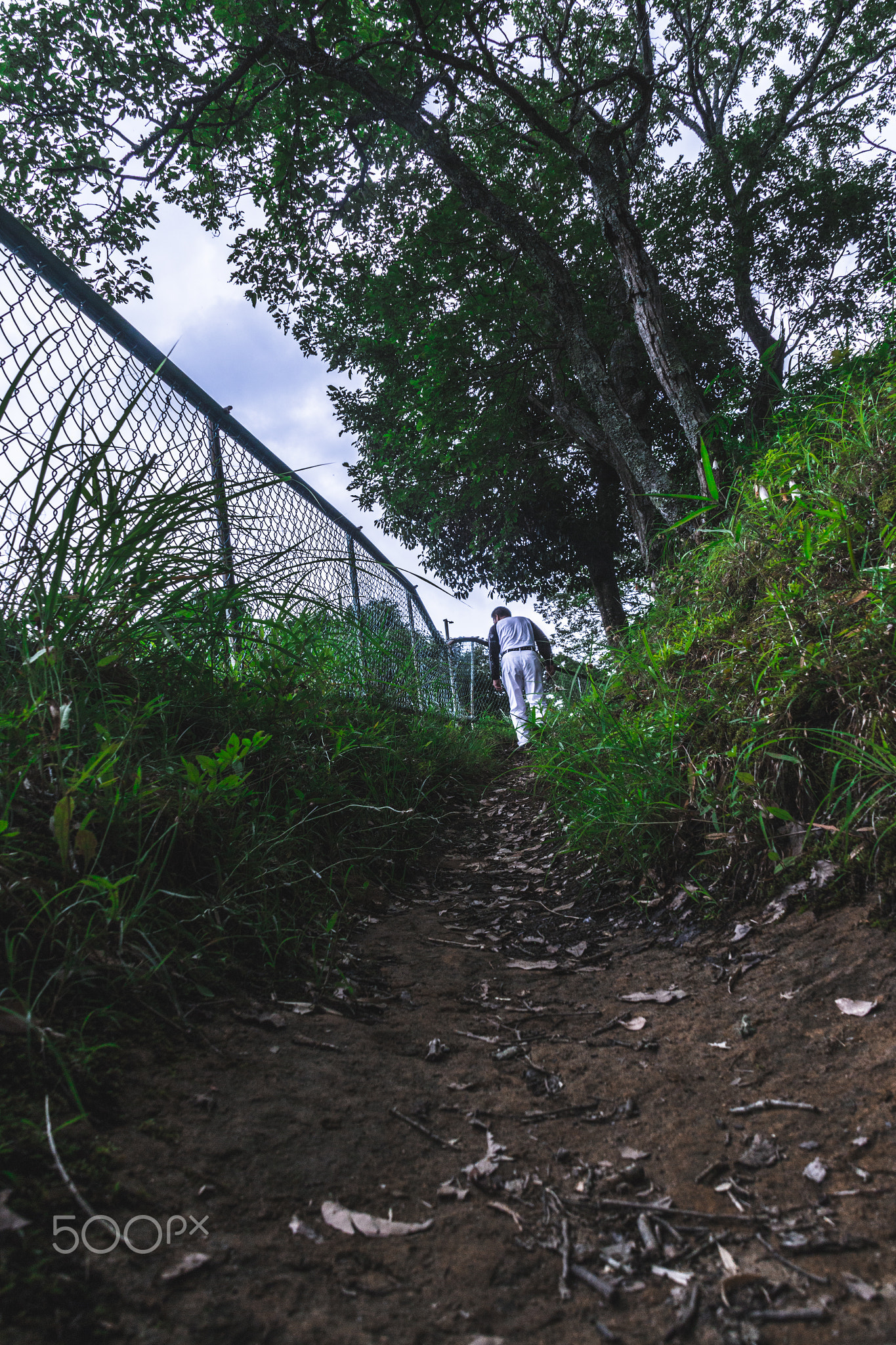 man - https://500px.com/photo/118411393/