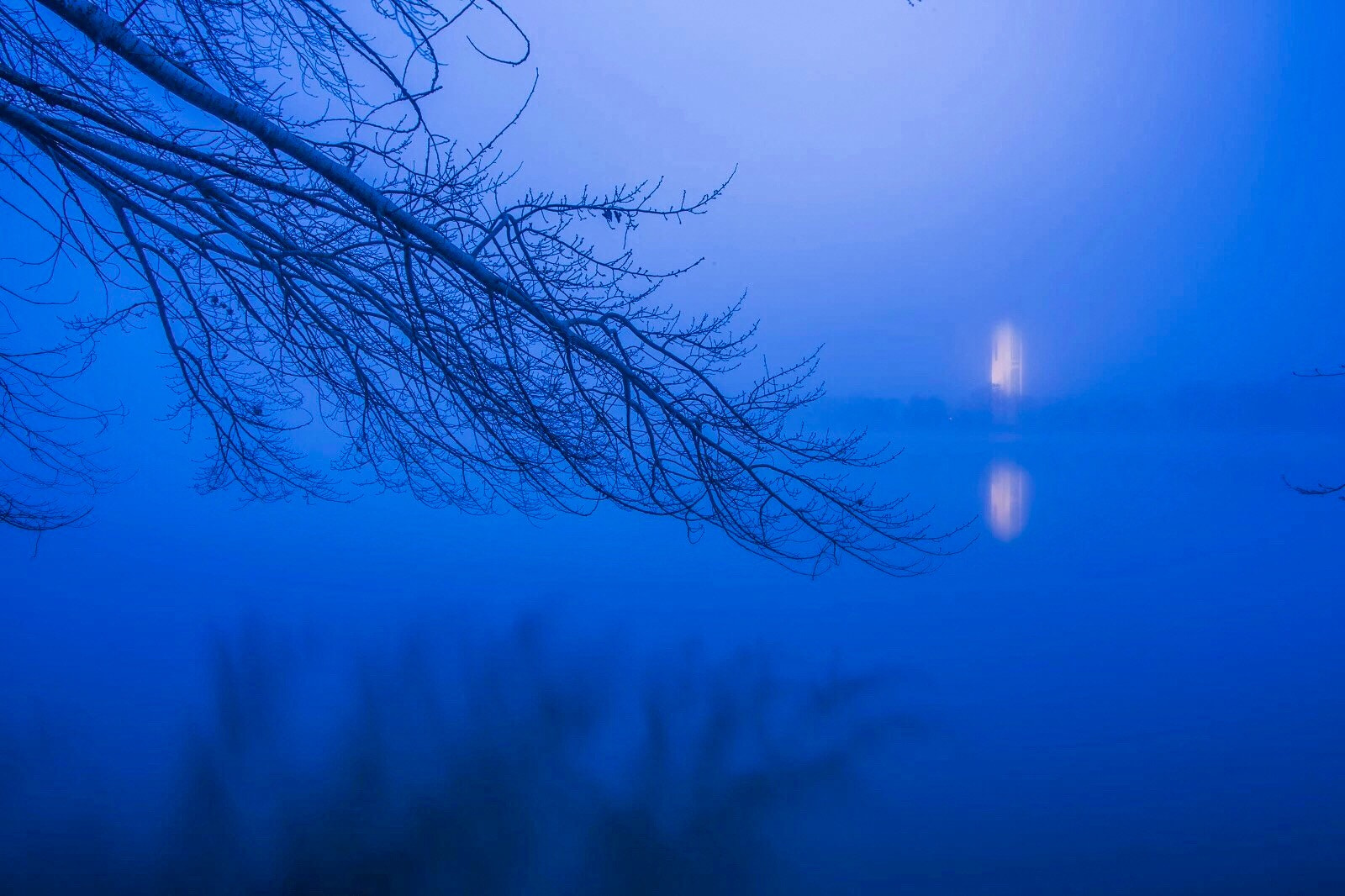 Foggy day in Canberra