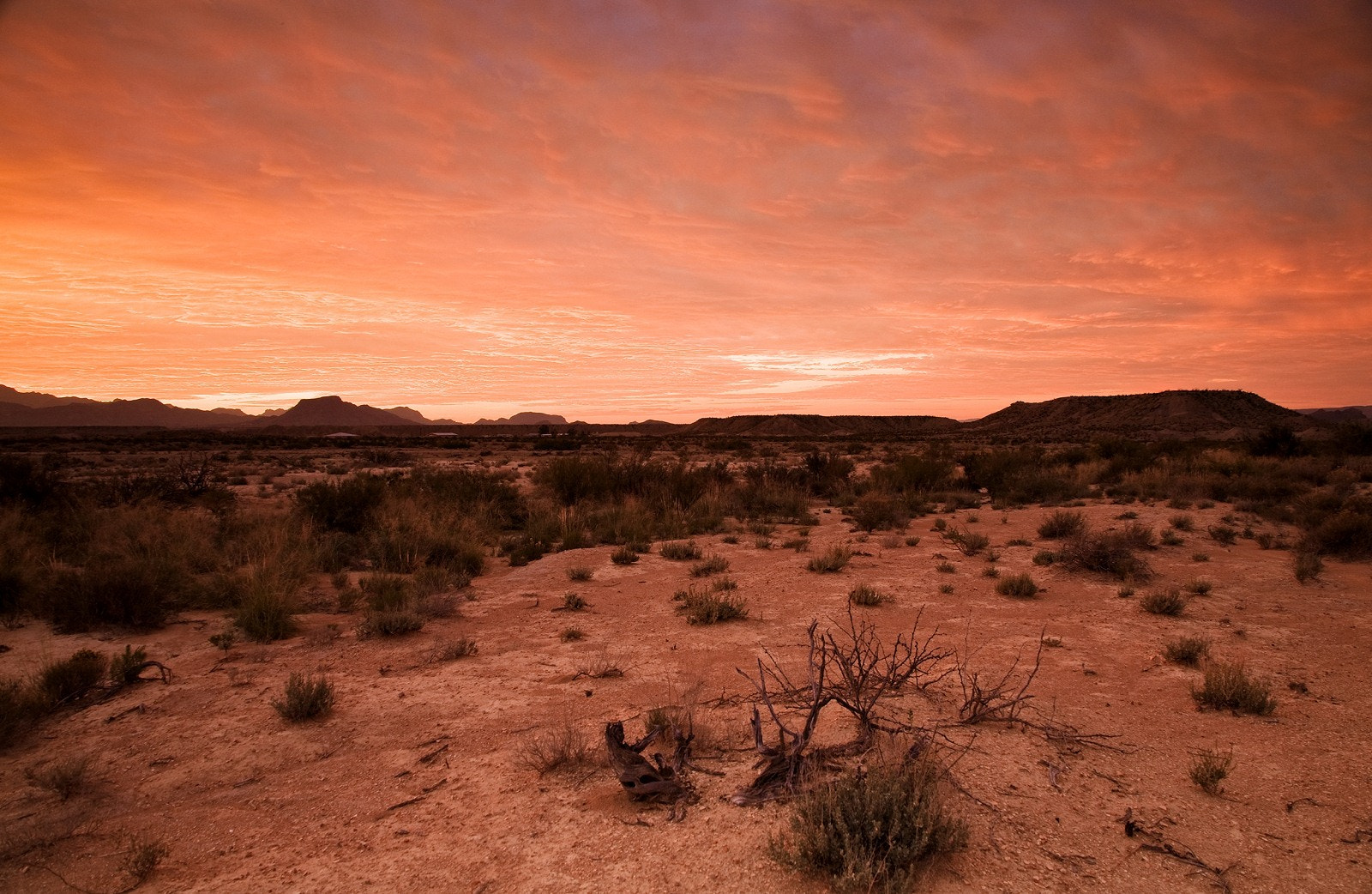 Texas Desert Sunrise by Stanford Moore / 500px