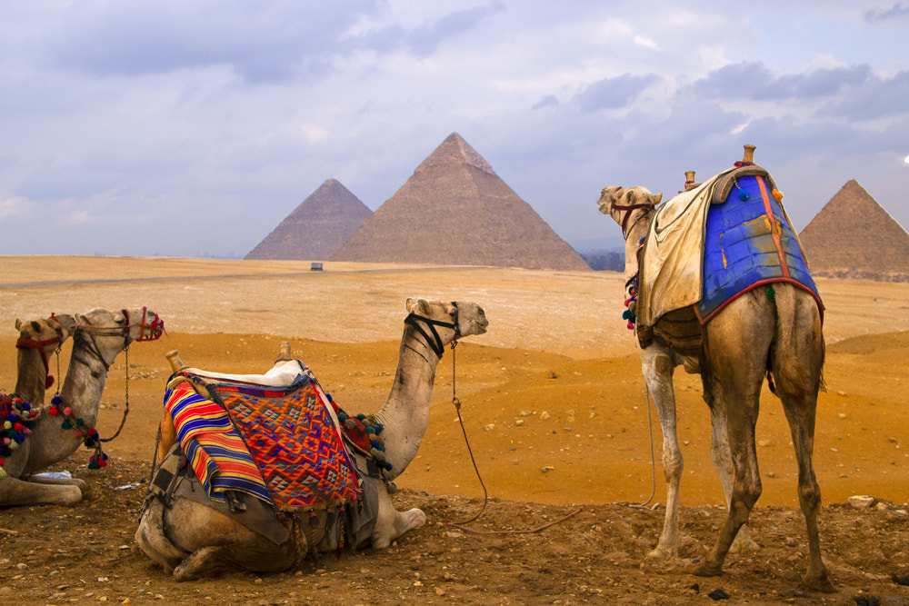 In Cairo by Hai Thinh on 500px.com