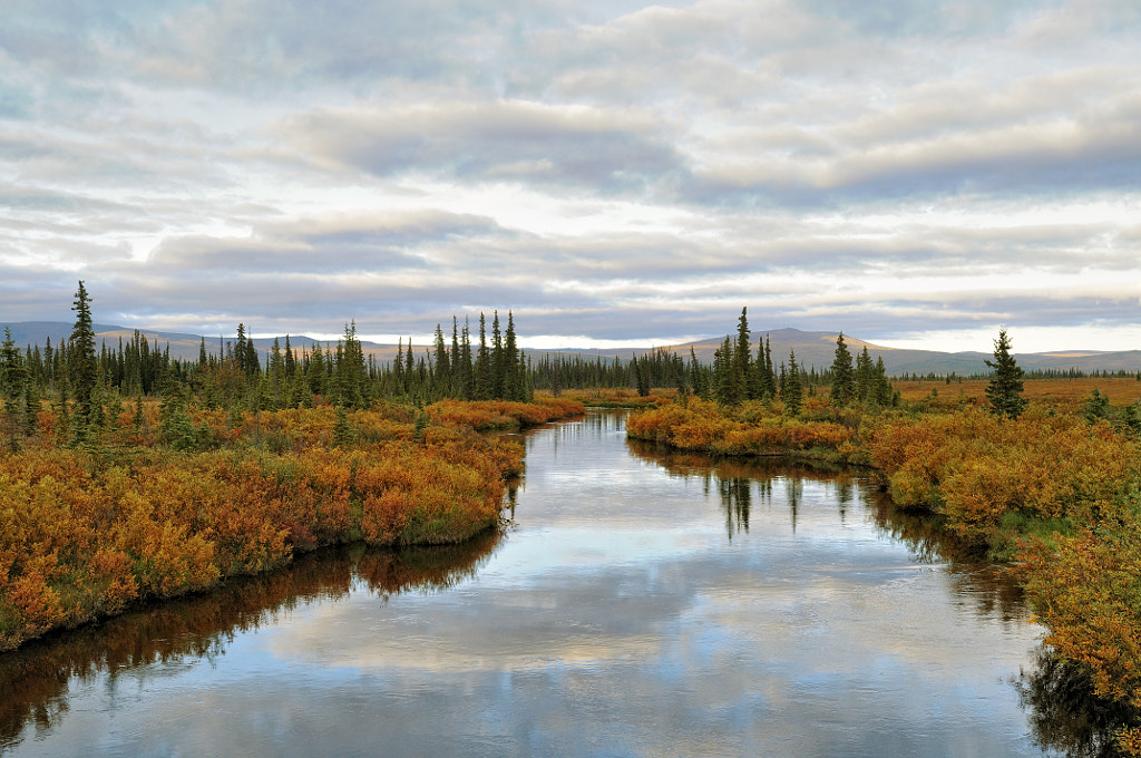 Koyukuk river by Oleg Bazhenov / 500px