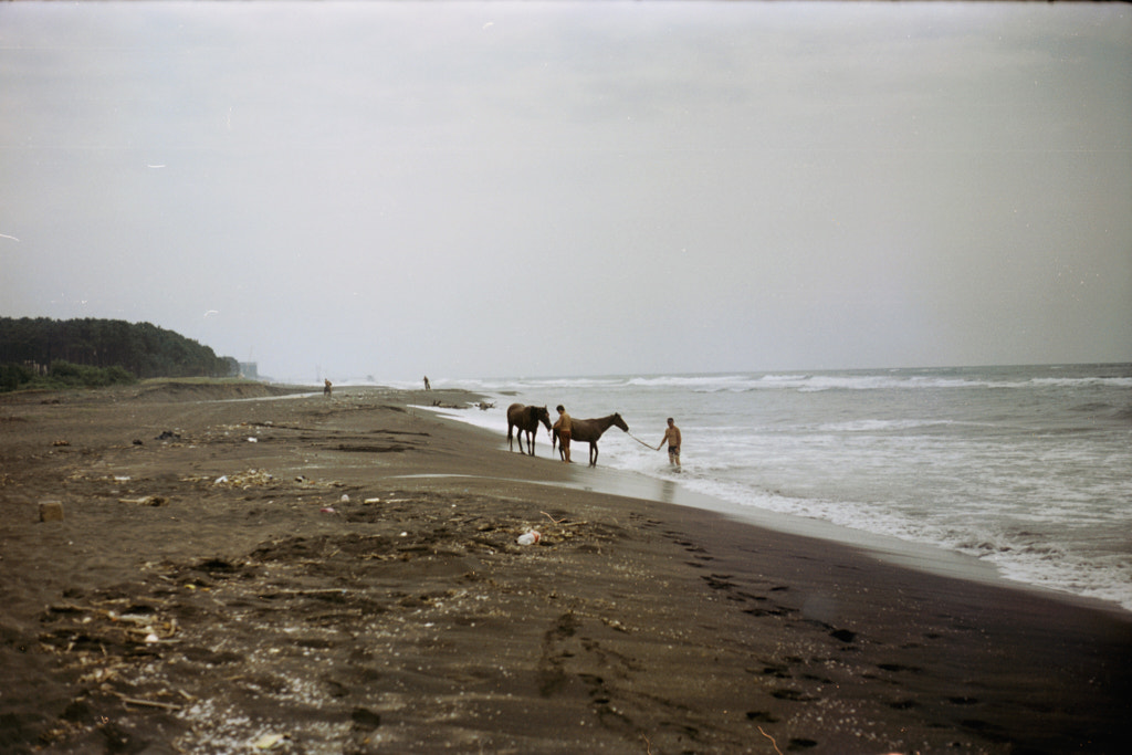 Bathing horses, автор — OrneLa Keenan на 500px.com
