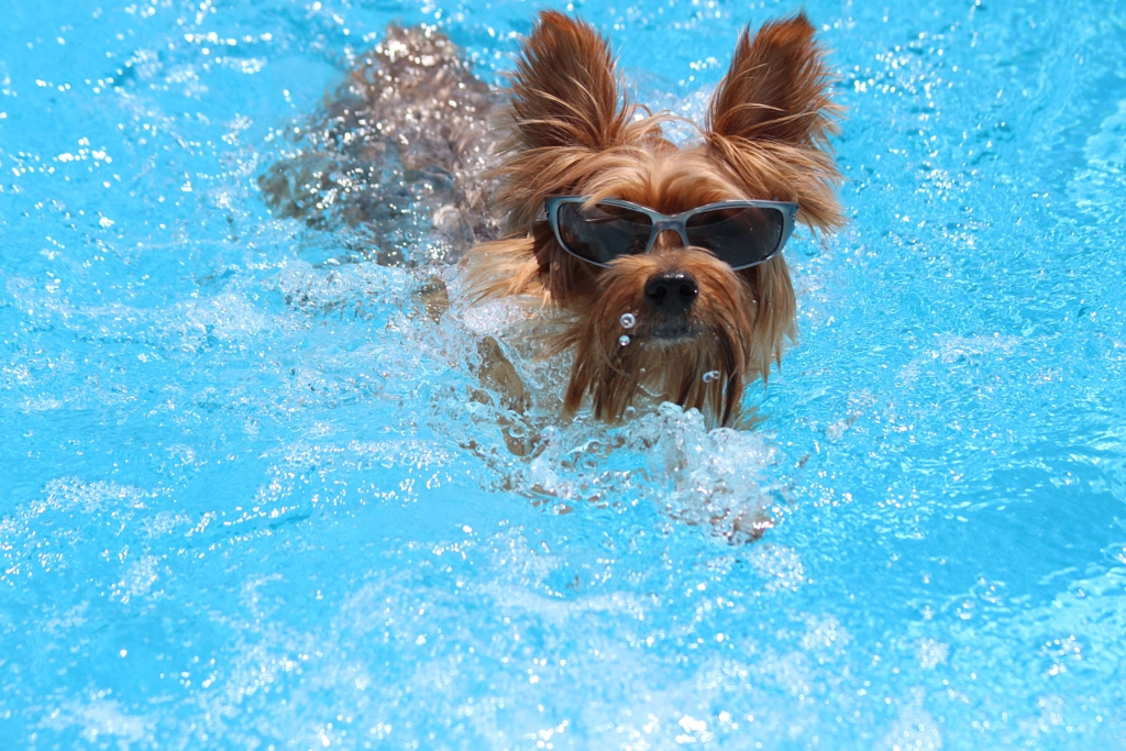 Swimming with my shades on! by Cheley Blucher on 500px.com