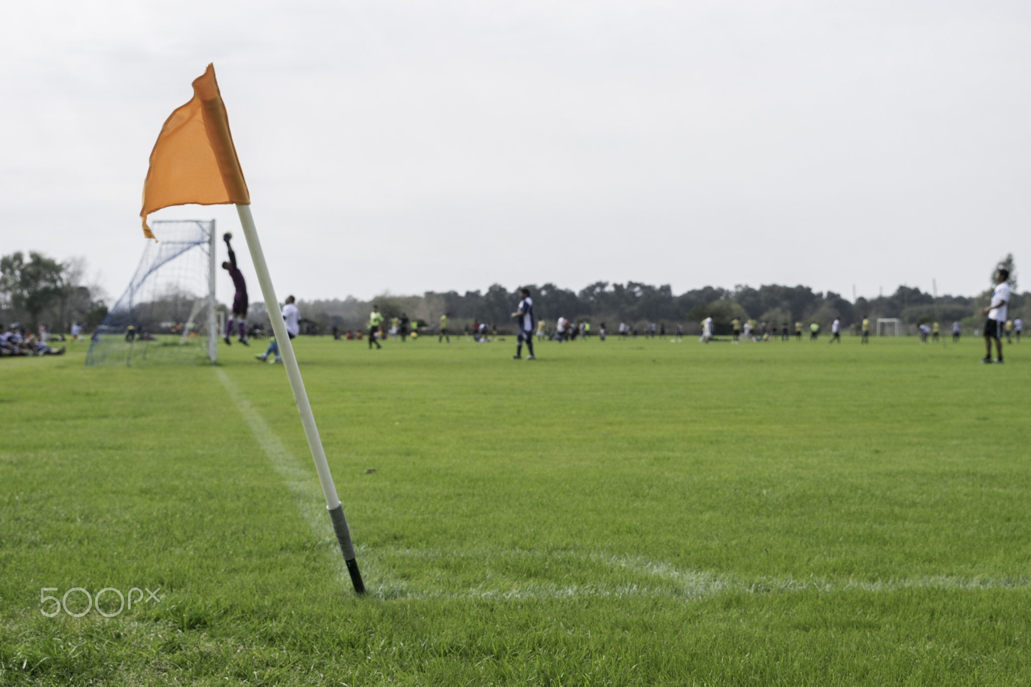 pennant