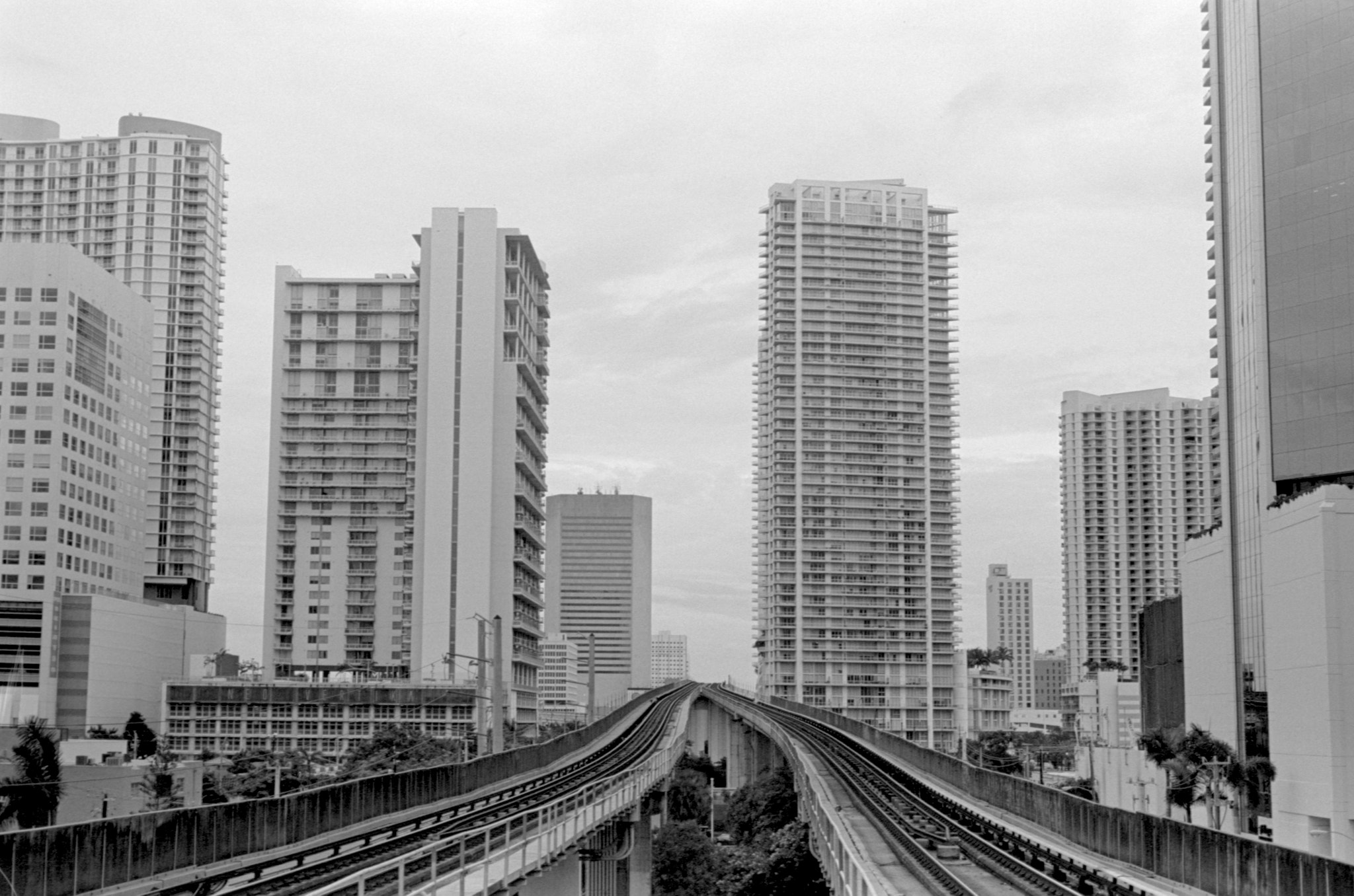 Miami Cityscape