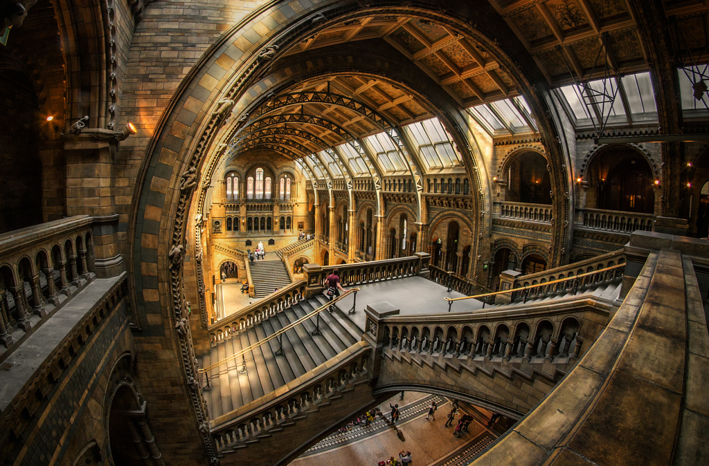 Natural History Museum by Nick_Moulds on 500px.com