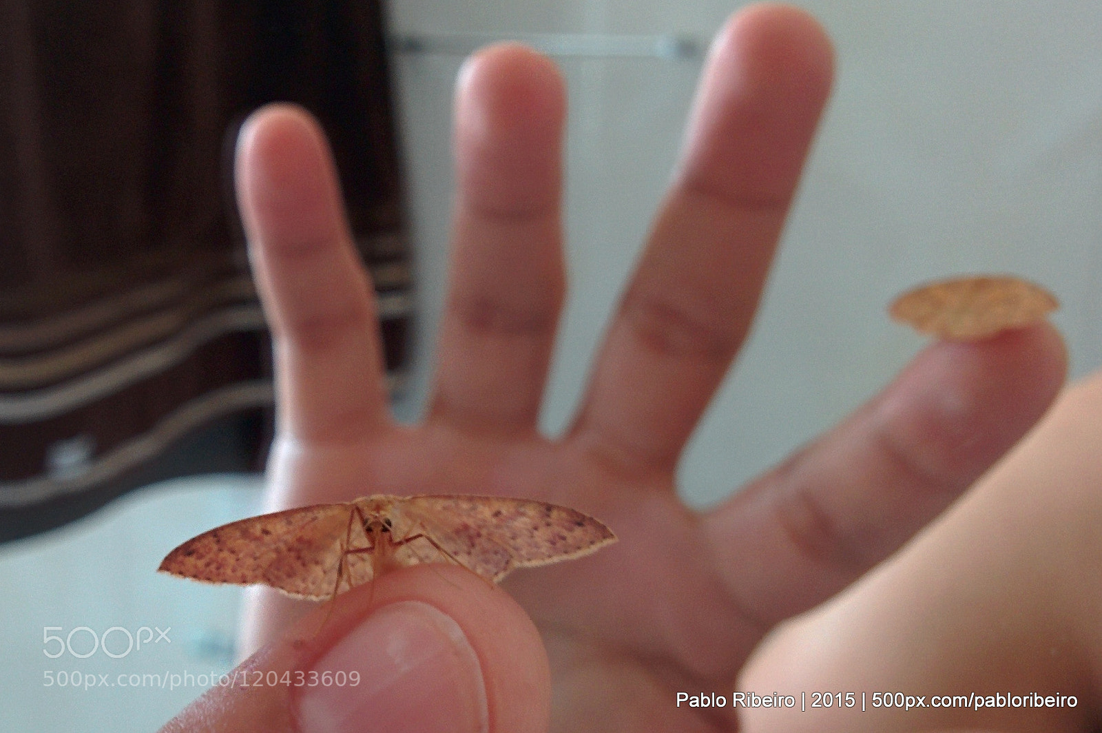 LG Nexus 5 sample photo. Take a step back photography