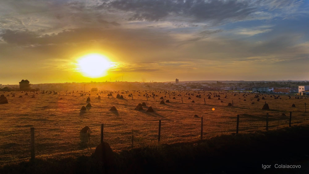 Late afternoon on the farm