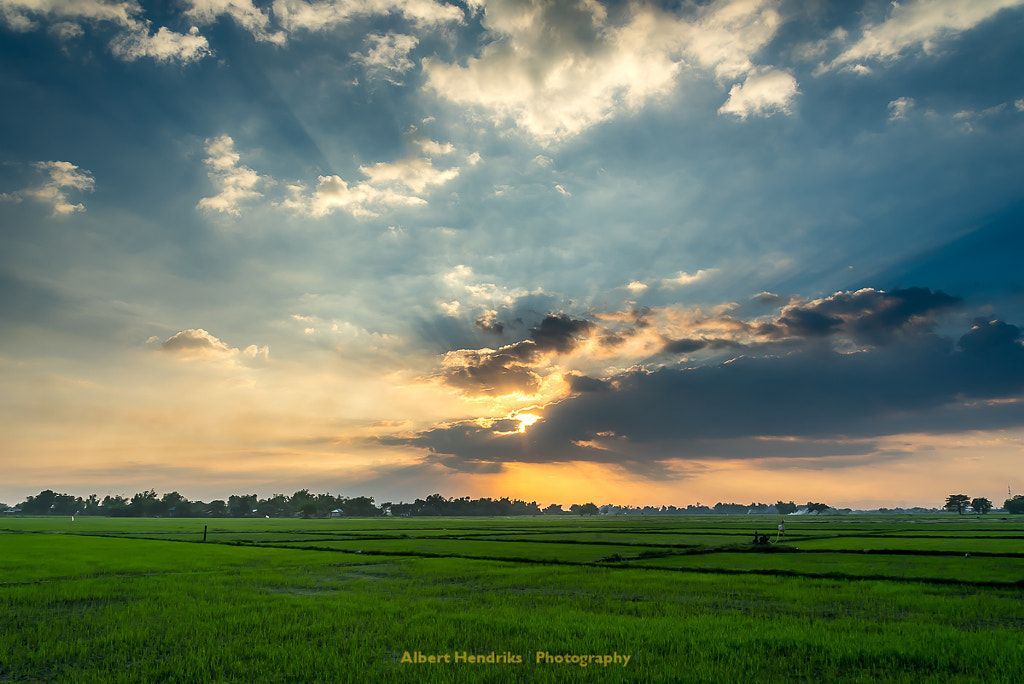 Sun rays by Albert Hendriks on 500px.com