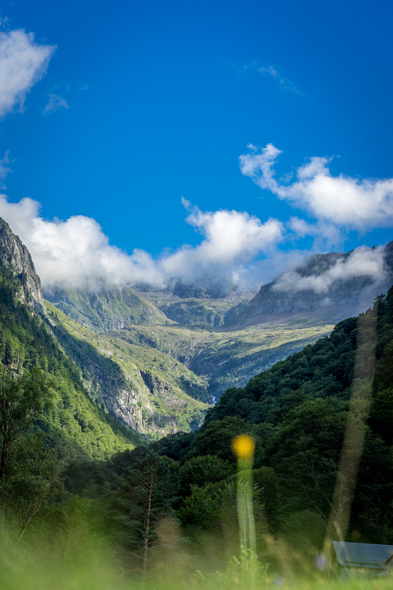 v2?sig=f418d77899504b73955327a303e0e6a68aef21d226fa315de4e81c4410d1f1e9