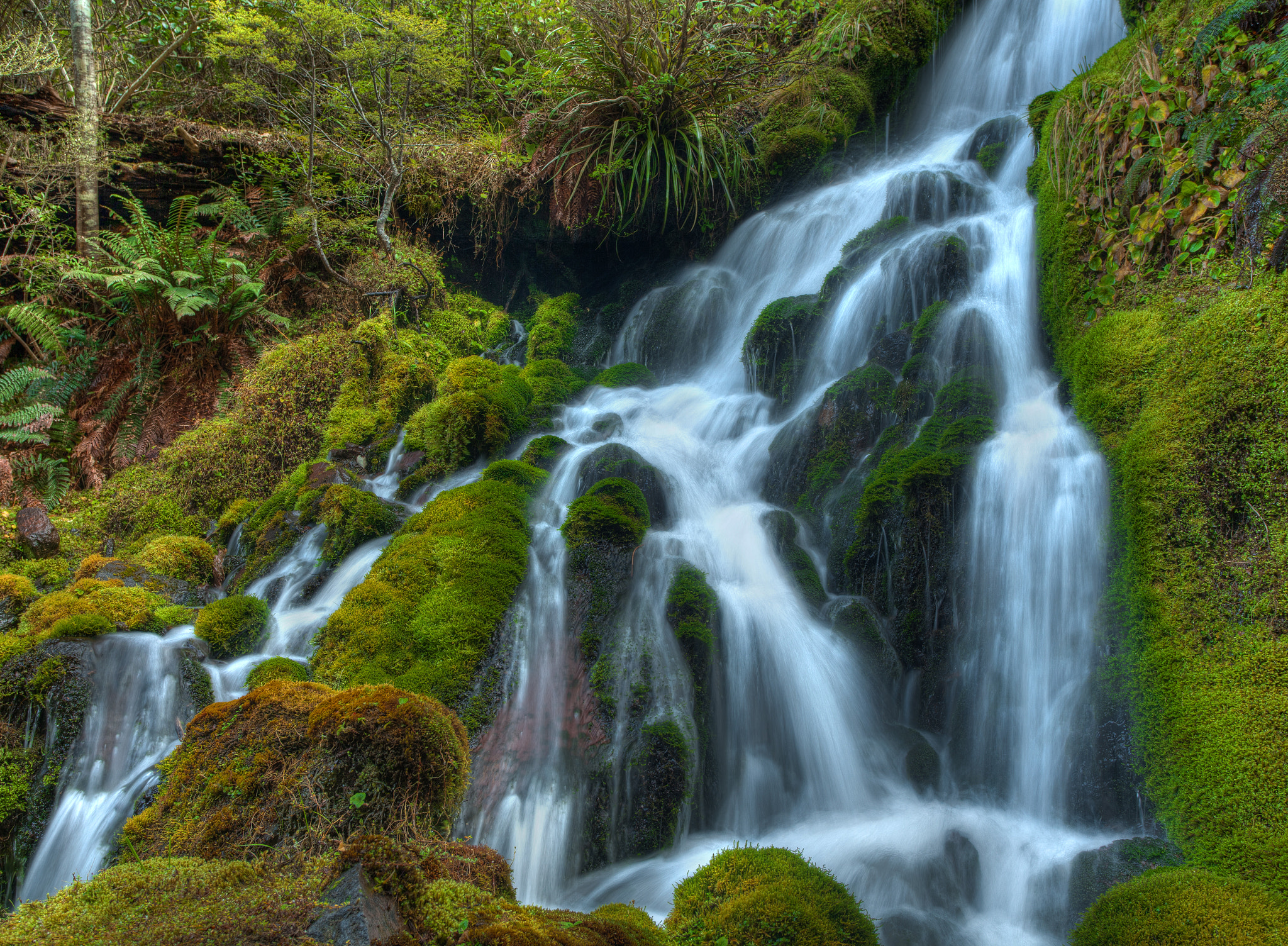 Waitonga Falls