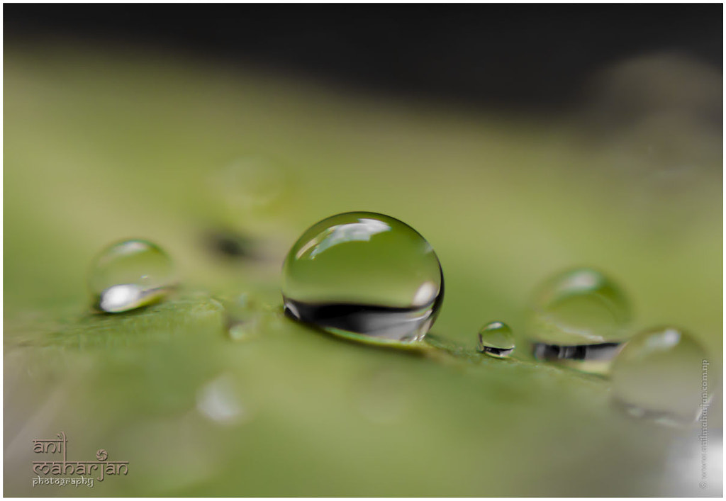 Drop by Anil Maharjan / 500px | @500px