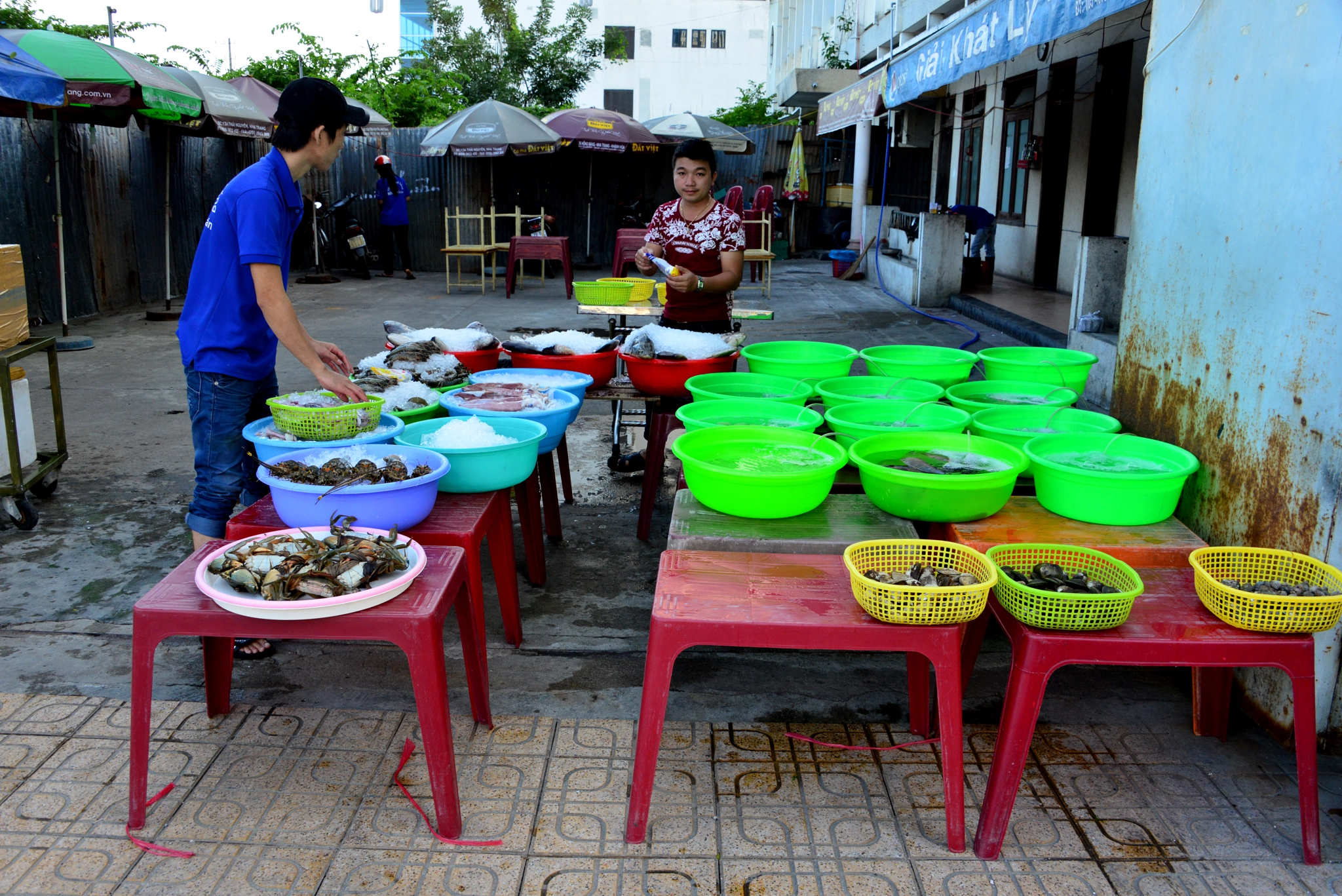 vietnamese boys sell fish