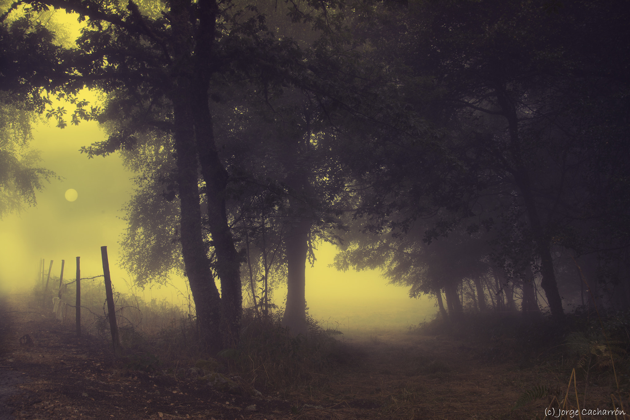 Escuchar el silencio (II) by Jorge Cacharrón / 500px