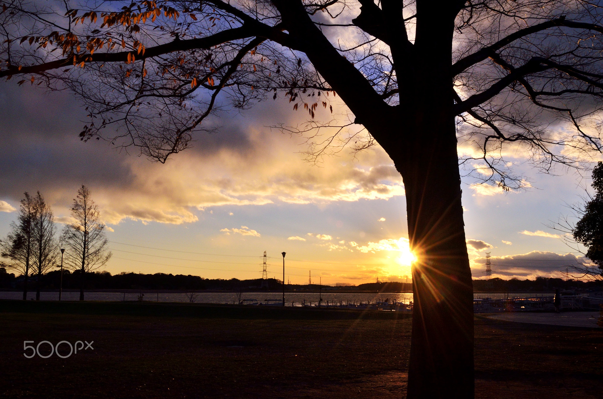手賀沼公園の夕焼け