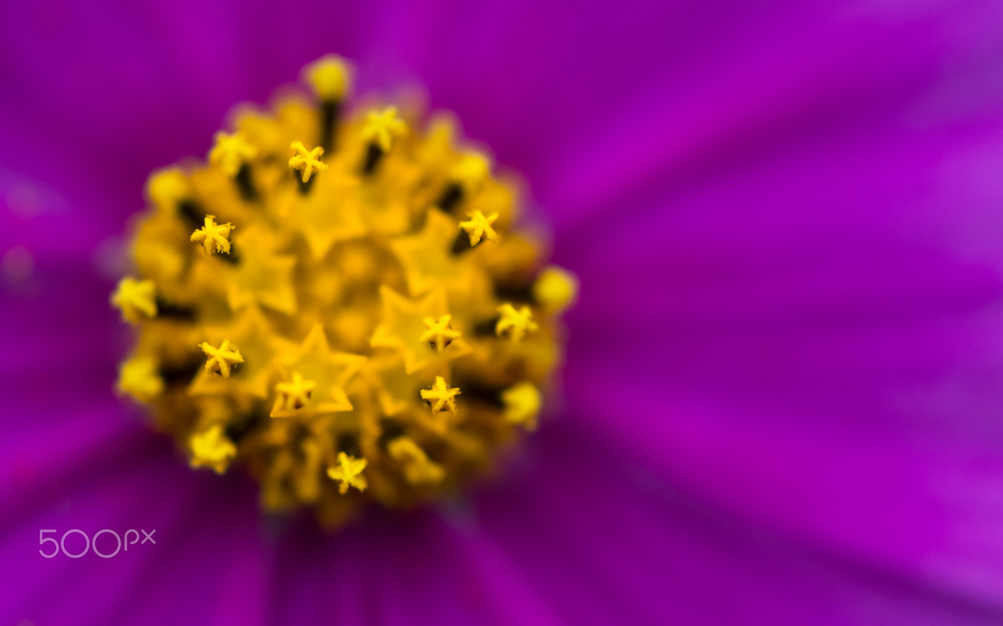 asterisk*