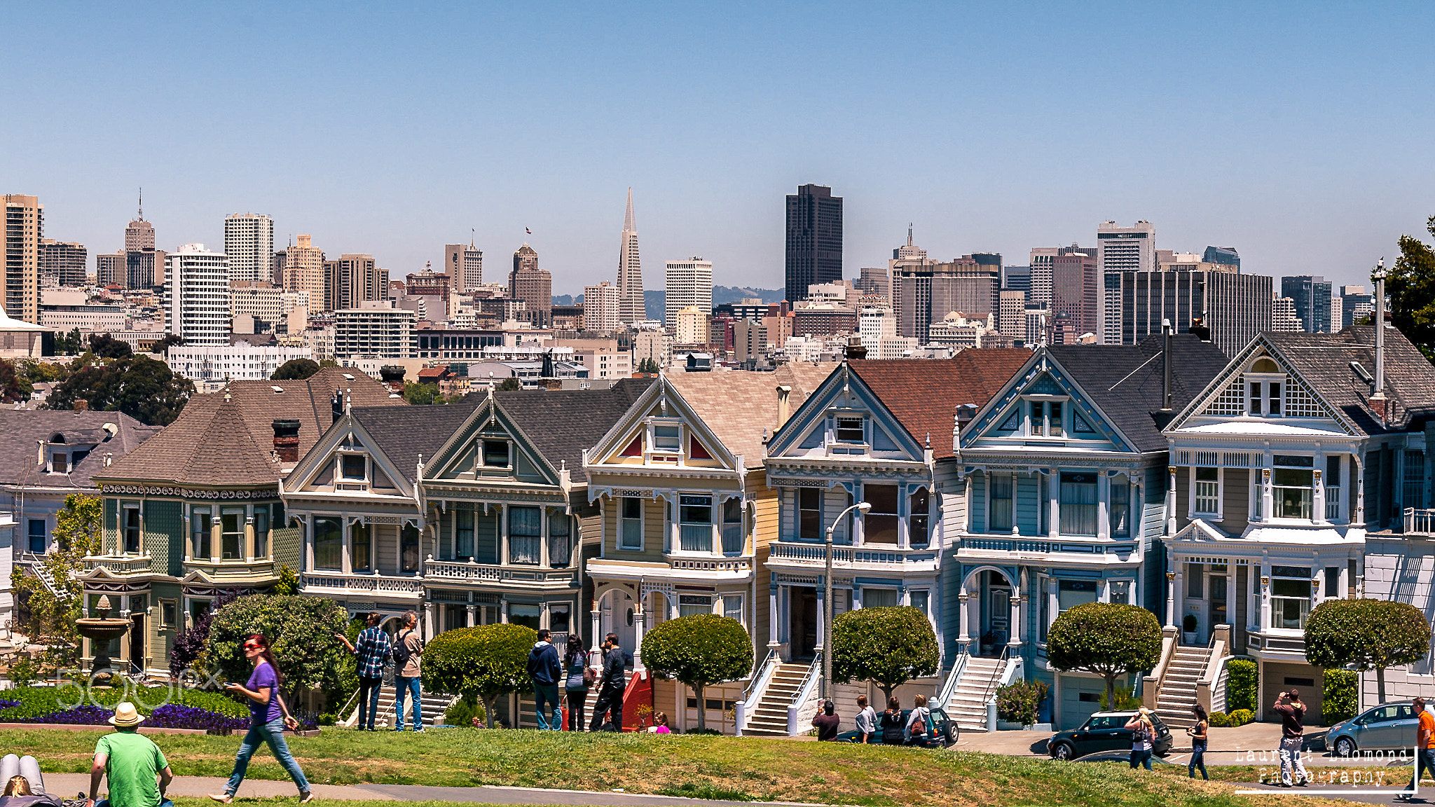 Painted Ladies