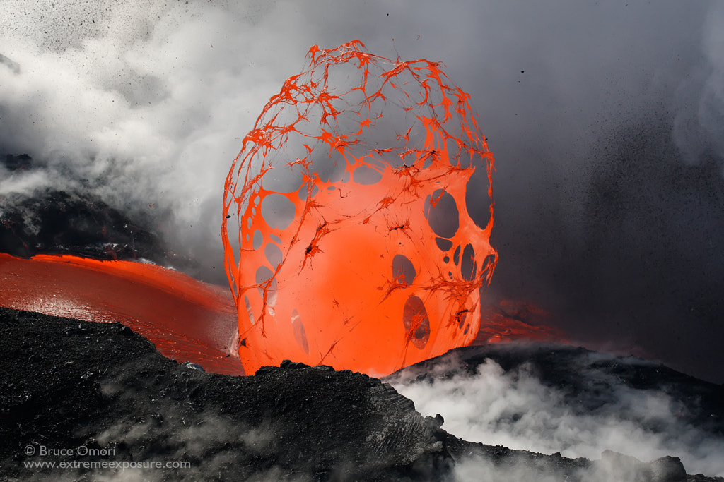 Caged Fury by Bruce Omori on 500px.com