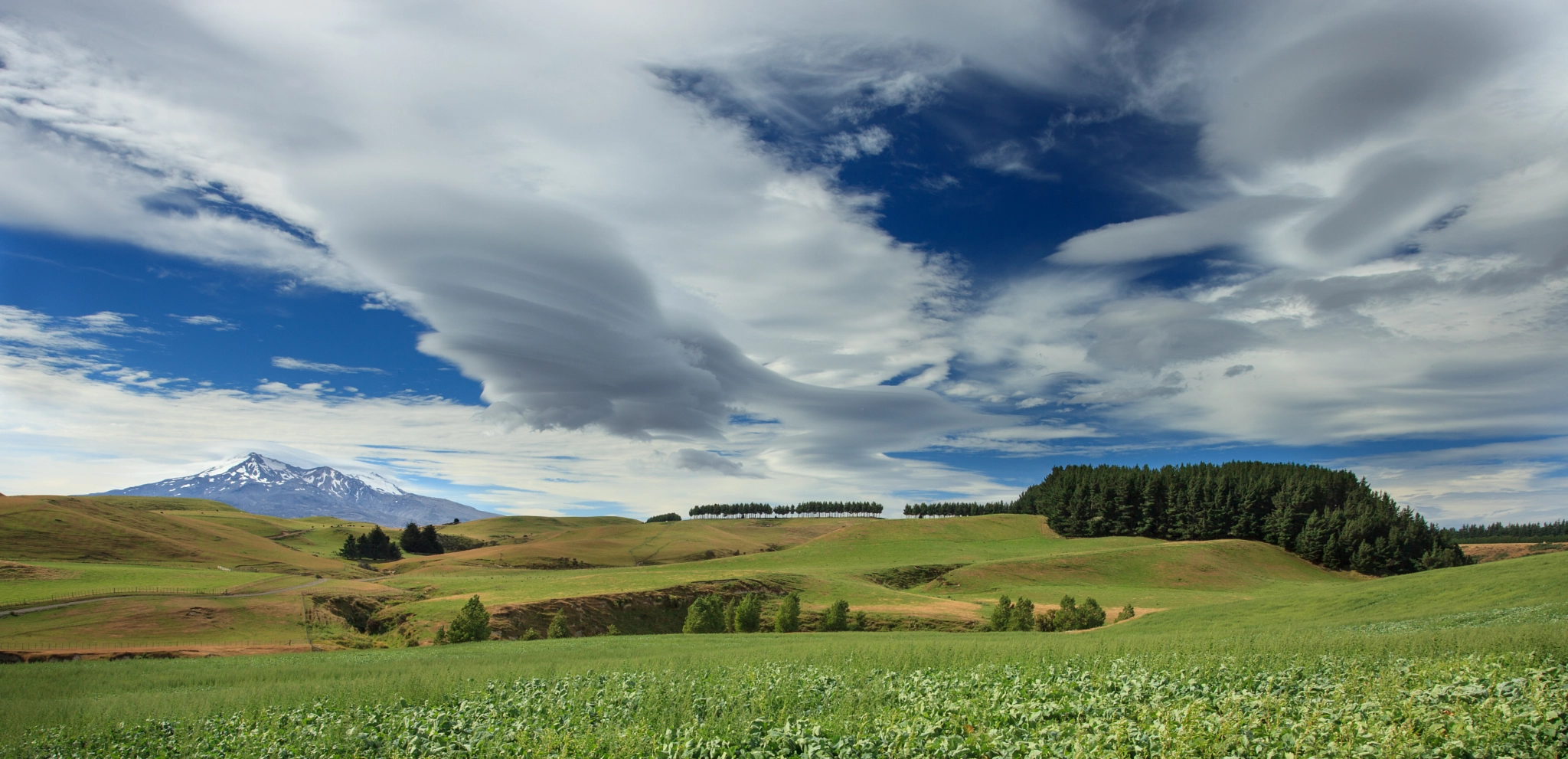 Lenticular Clouds