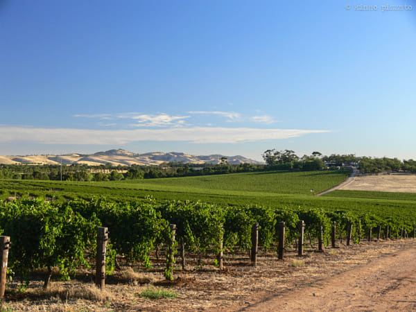 Barossa