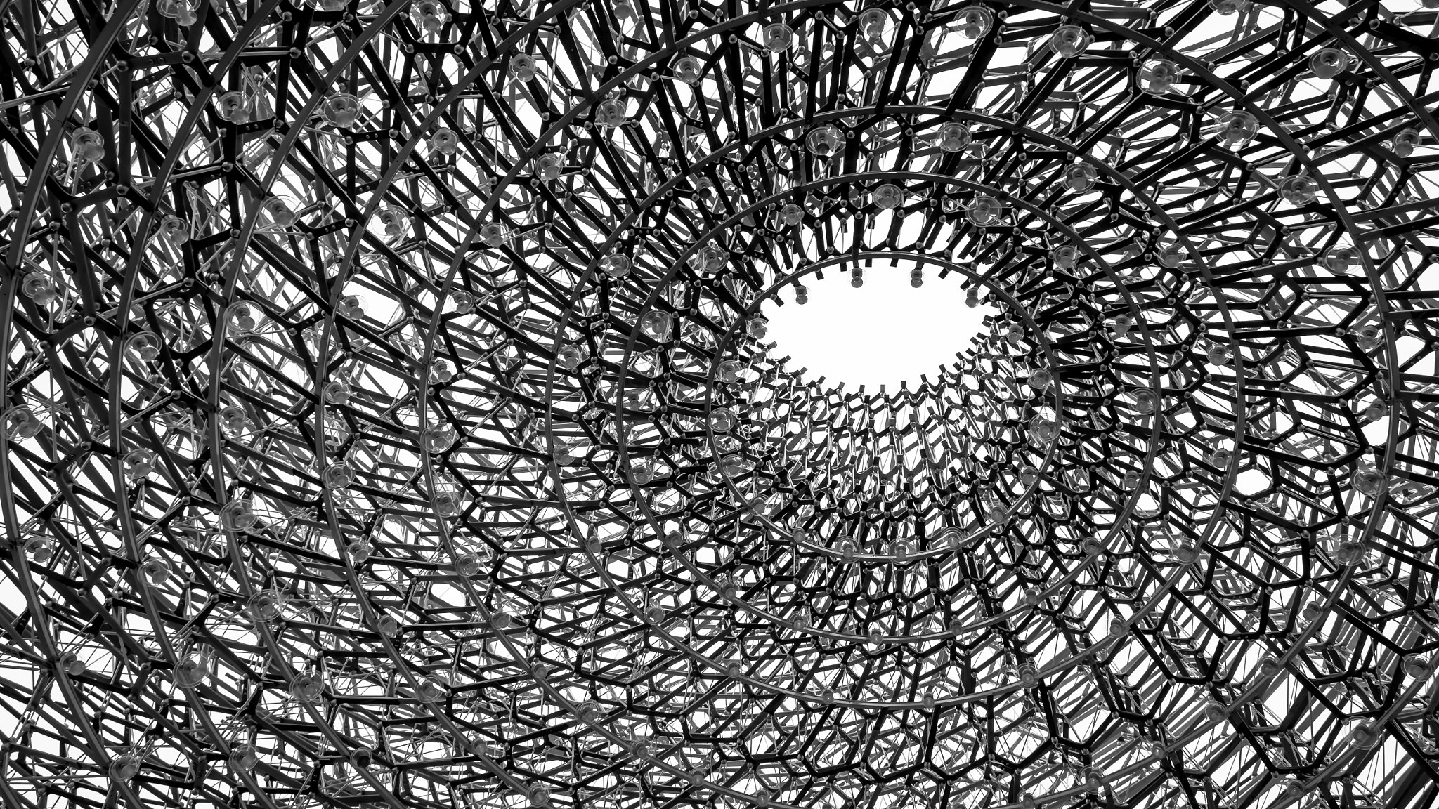 Urban Beehive
