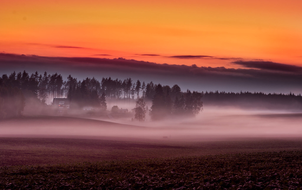 Mist is it by Björn Olfenius on 500px.com