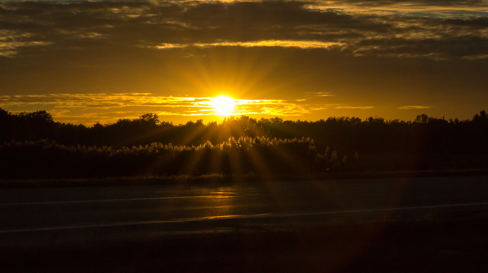 Solid Gold Sunset