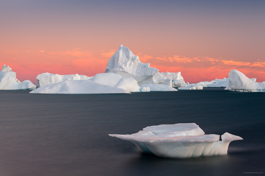 Ice Swan by Stephen DesRoches on 500px.com