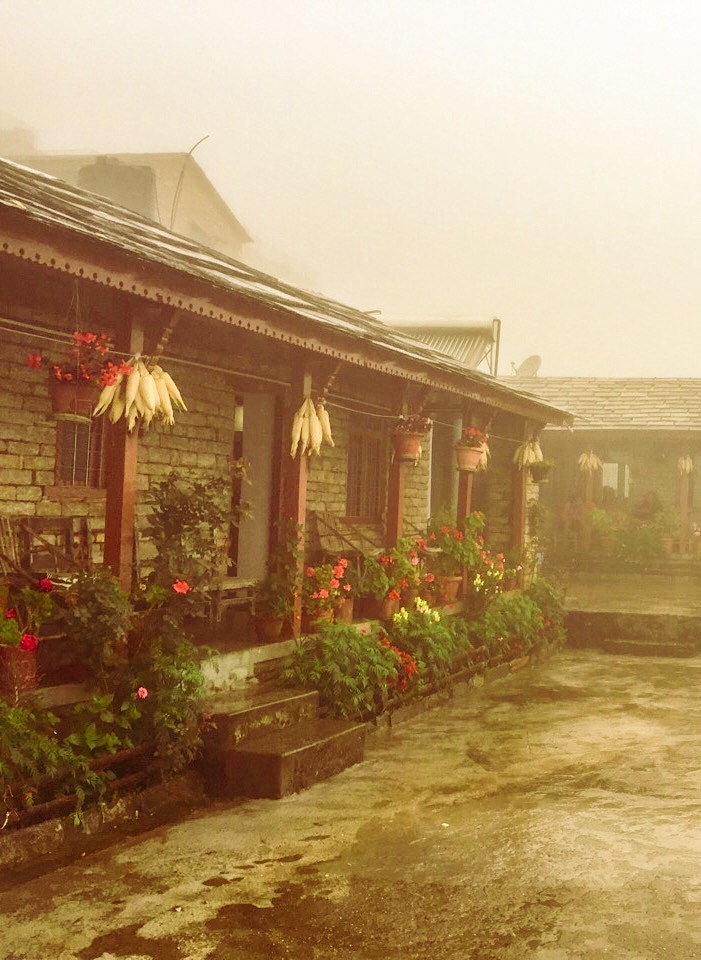 v2?sig=1b175384faee37ccb6ad904ed0aab1108