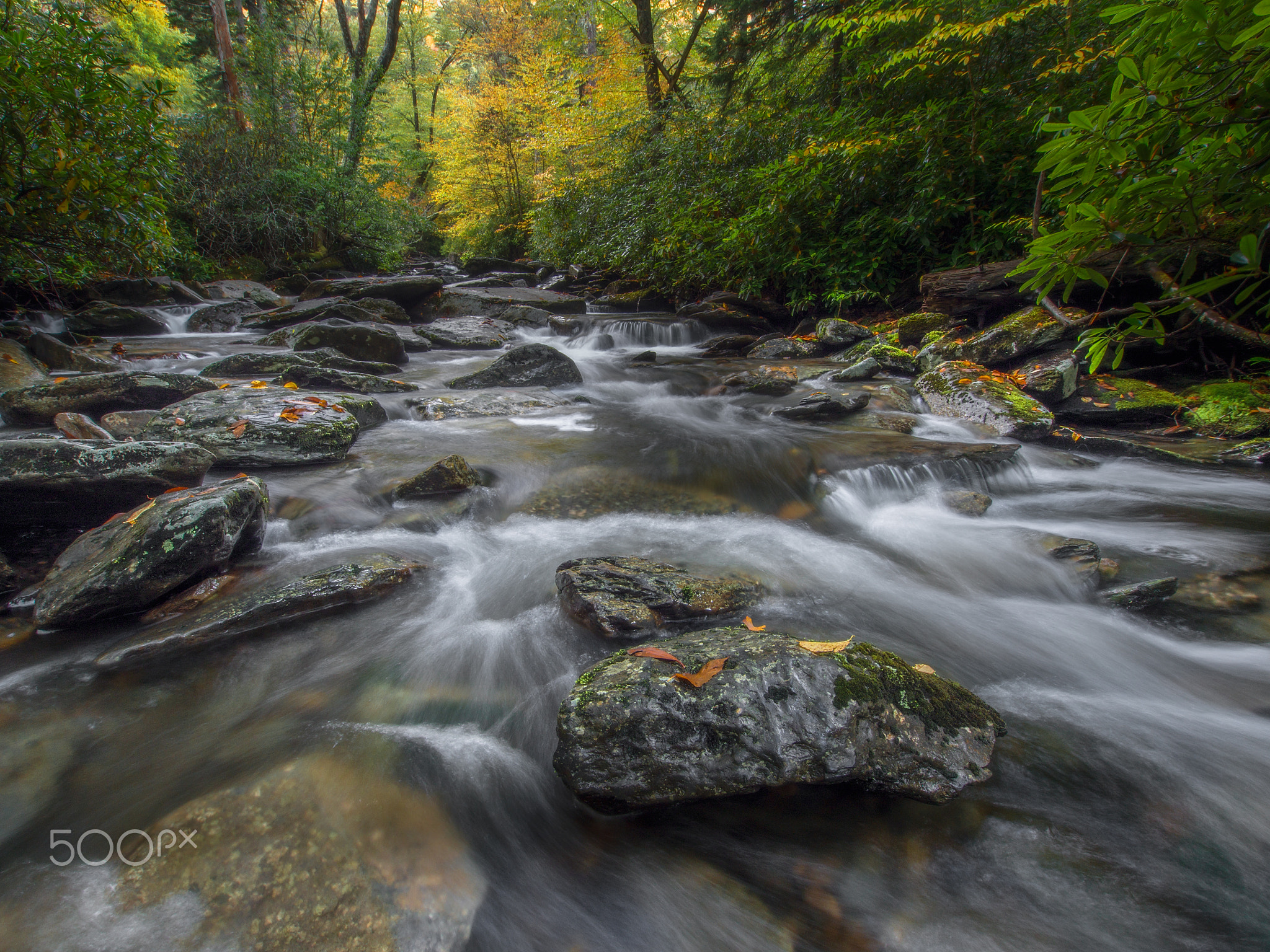 Great Smoky Mountains.