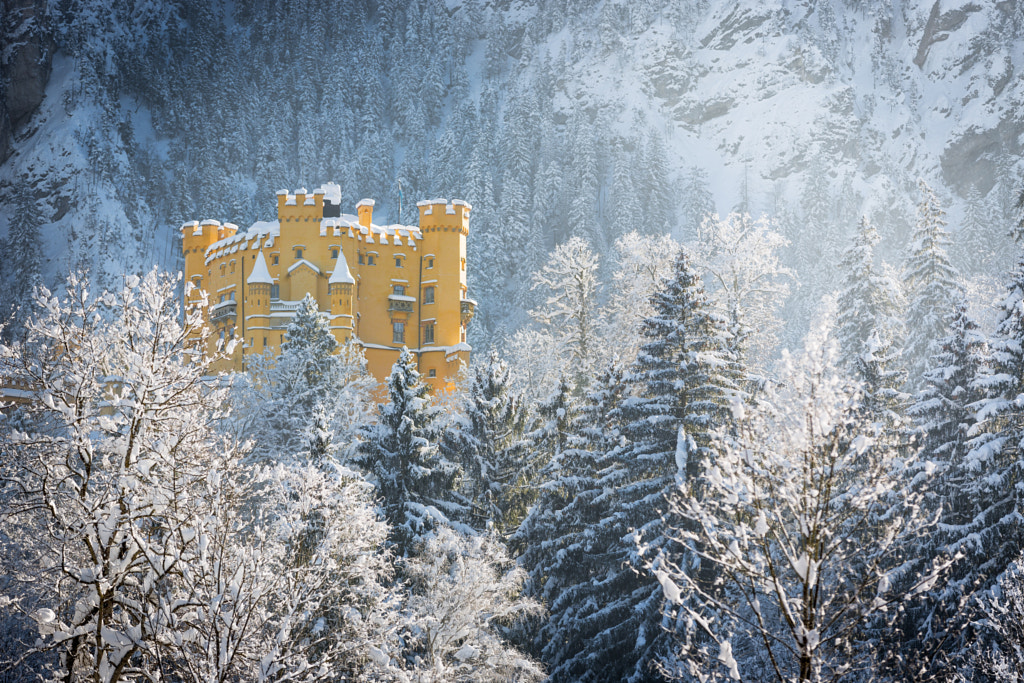 Hohenschwangau Castle in wintery landscape, Germany by Frank Fischbach on 500px.com