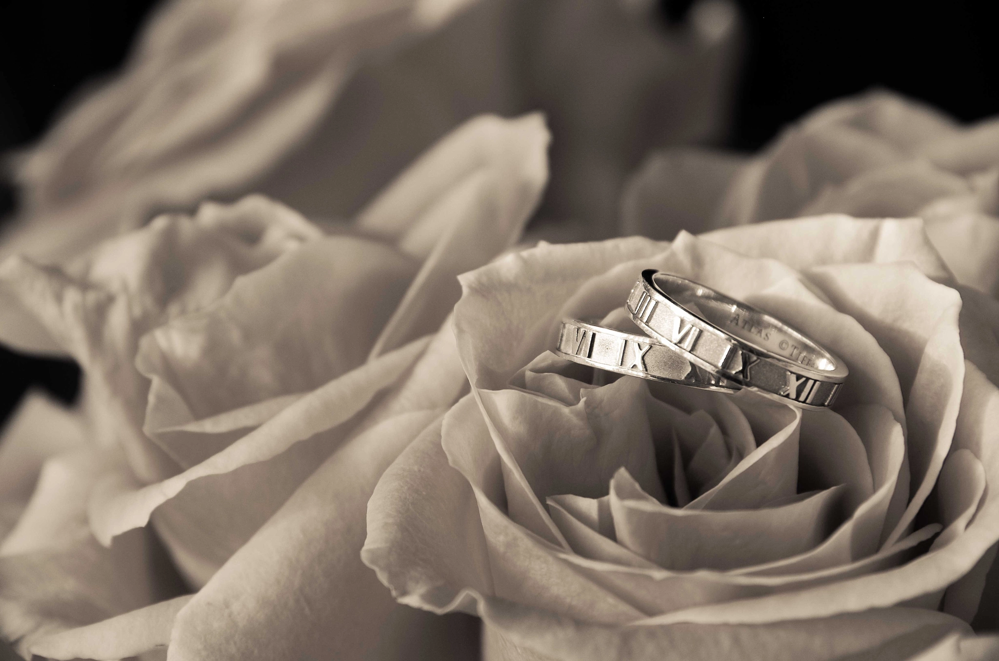 v2?sig=c0f8542ebb18f560a401f3a5057325e96ed02f7778a41756be5899c870108cd6