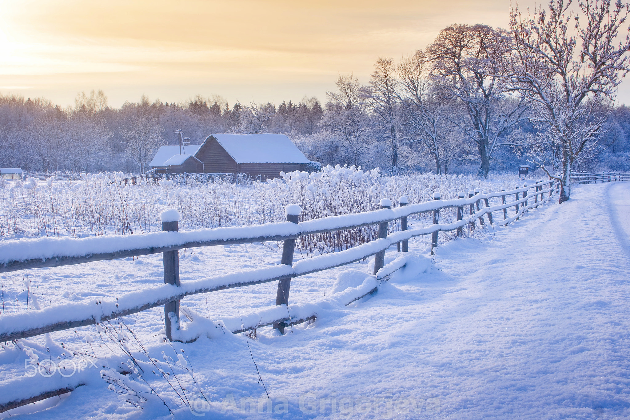 Rural house with a fence in winter