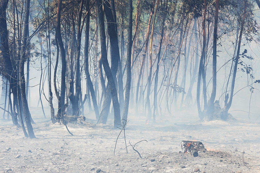 Burned by Rui Caria on 500px.com