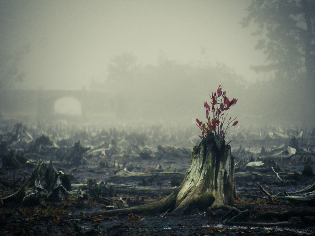 Striving by Tom Fallon on 500px.com