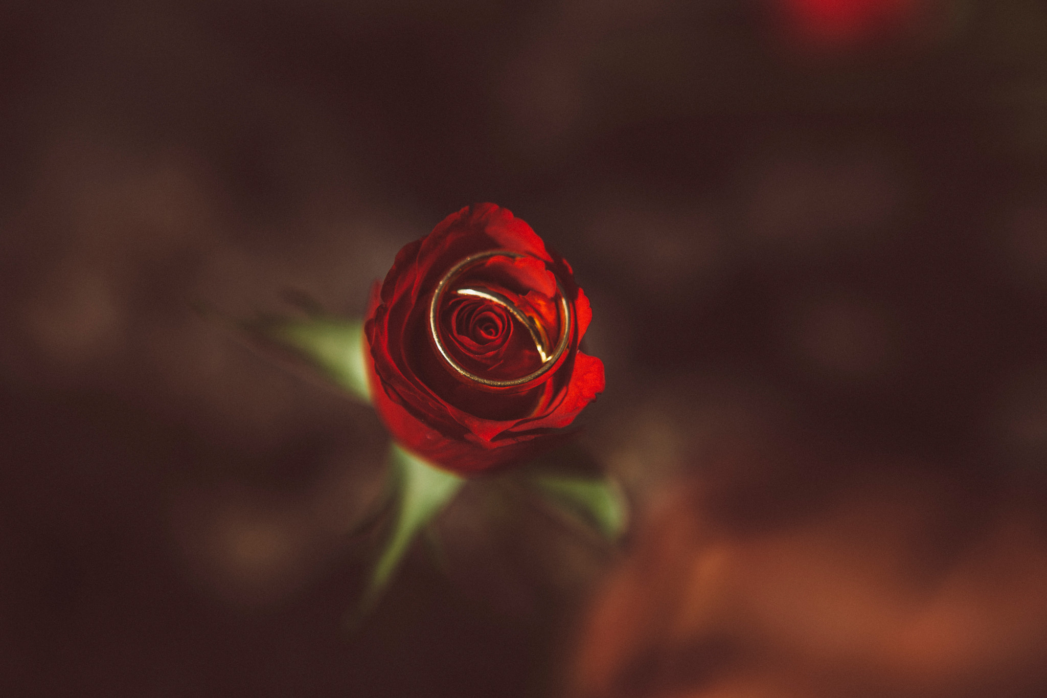 v2?sig=4292216485cf864c4038bf0da71a49194