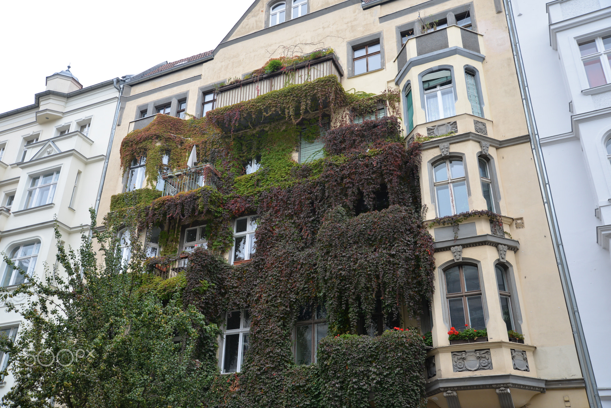 immanuelkirchstrasse Herbstanfang
