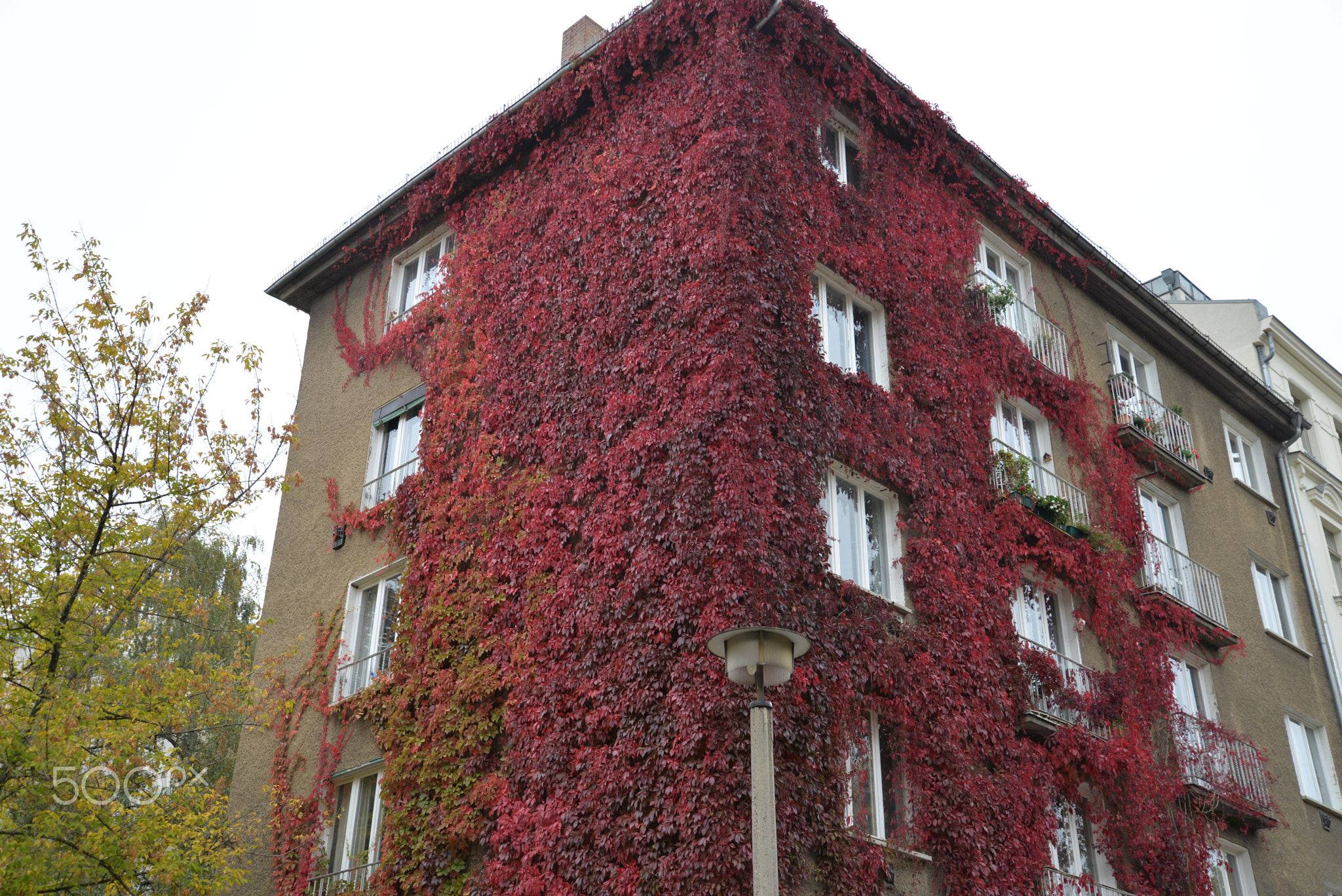 immanuelkirchstrasse Herbstanfang