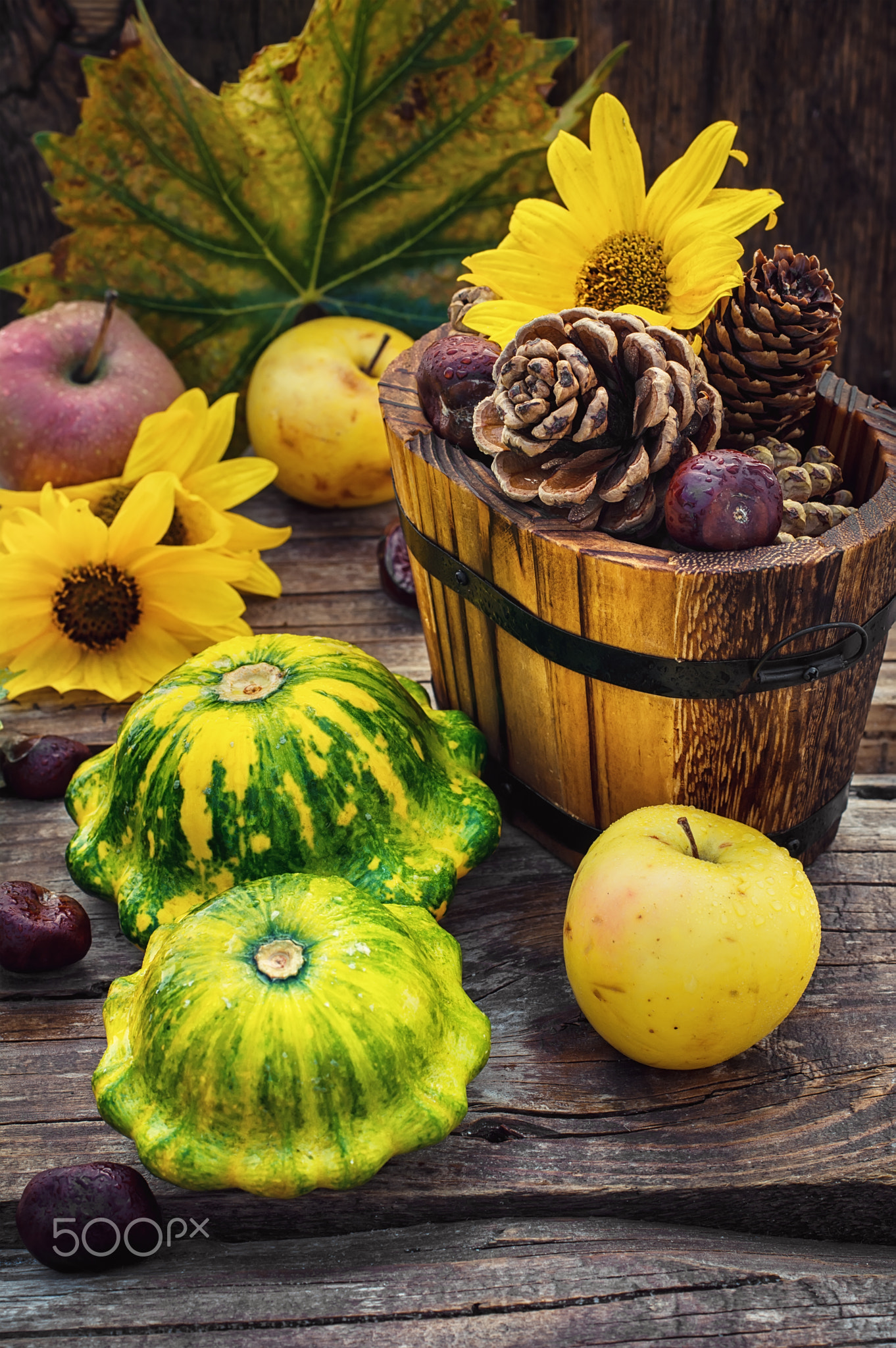 Autumn still life with squash