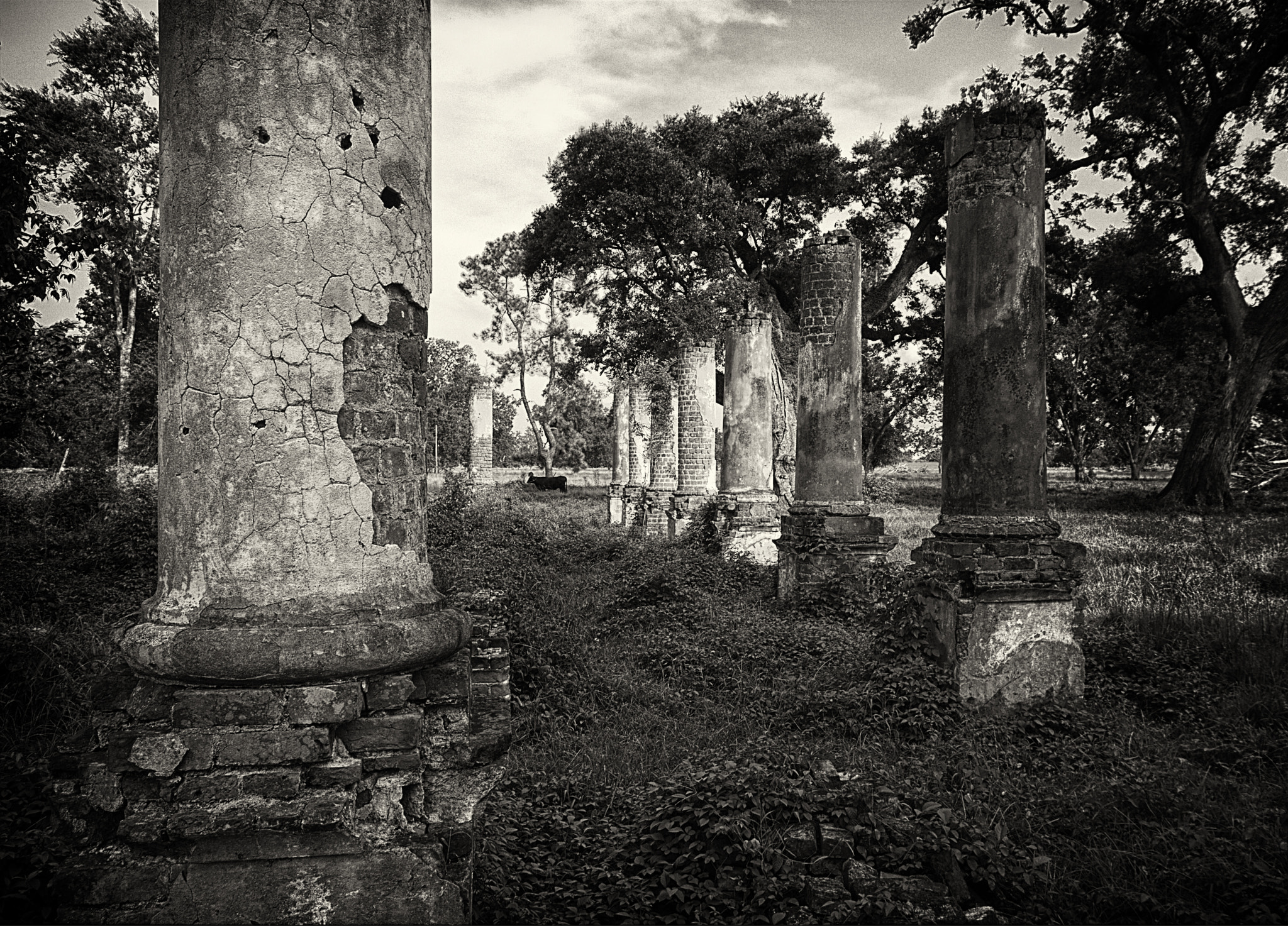 Cottage Plantation, Baton Rouge by Darrell Miller / 500px